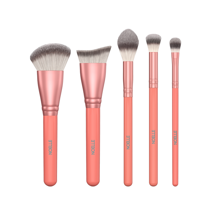 Makeup brush set highlight & contour 5/1